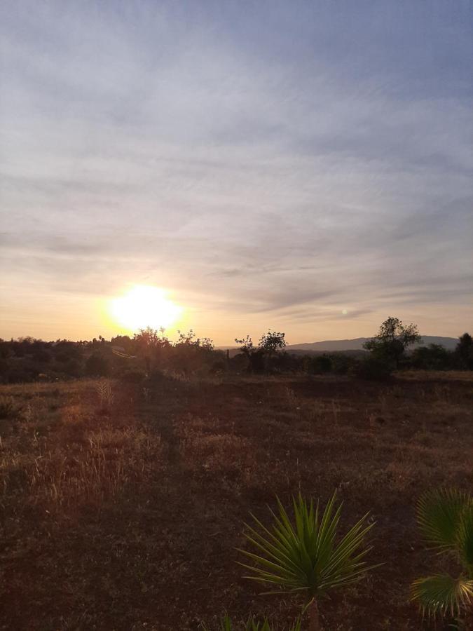Quinta Das Piteiras-Turismo Rural Silves Bagian luar foto